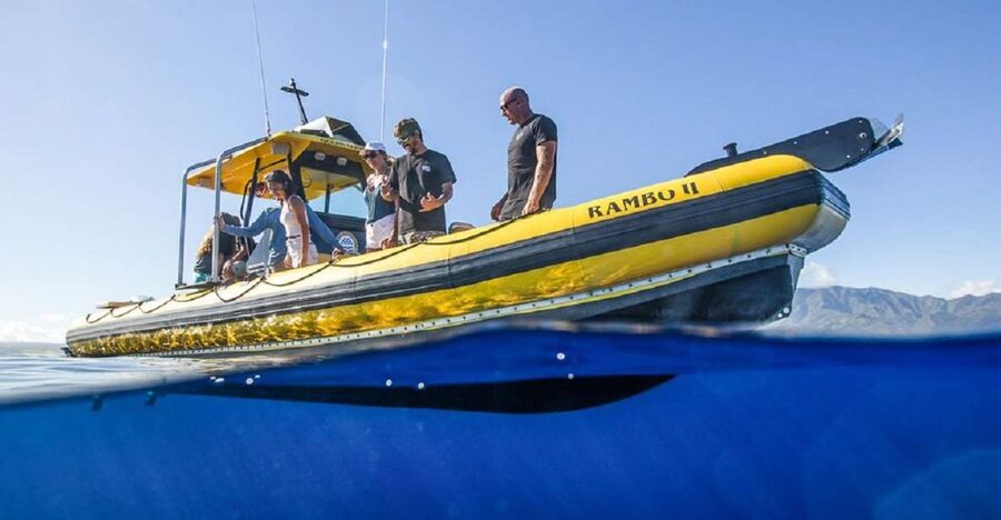 Oahu: North Shore Haleʻiwa: Private Boat Charter - Practical packing and timing advice