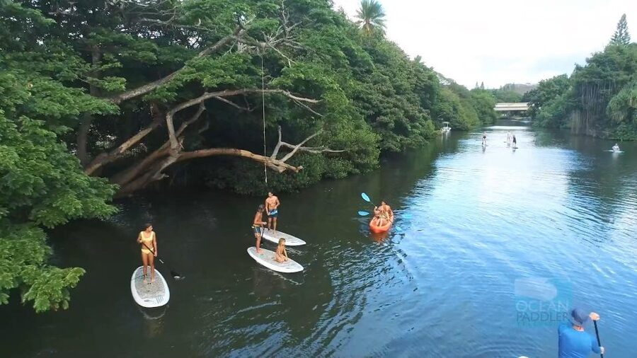 Oahu: North Shore Haleiwa Paddleboard River Adventure - Price and the value of the setup