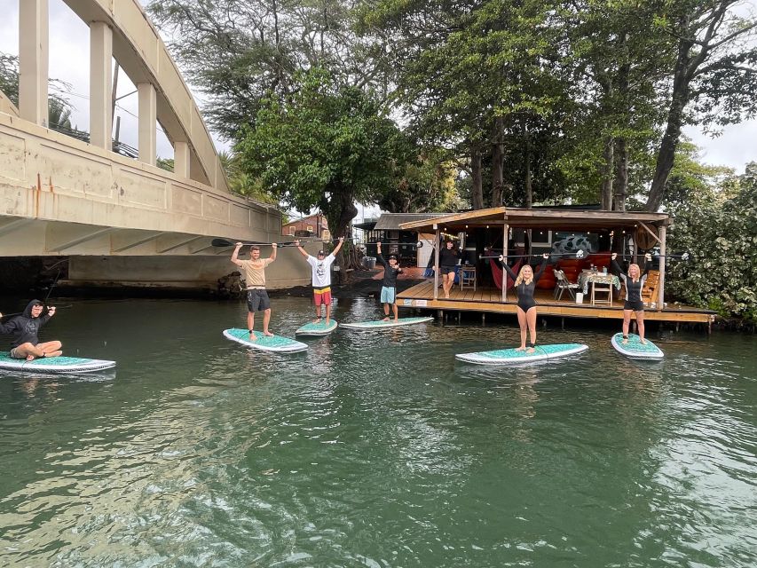 Oahu: North Shore Haleiwa Paddleboard River Adventure - Looking for honu near mangroves and springs