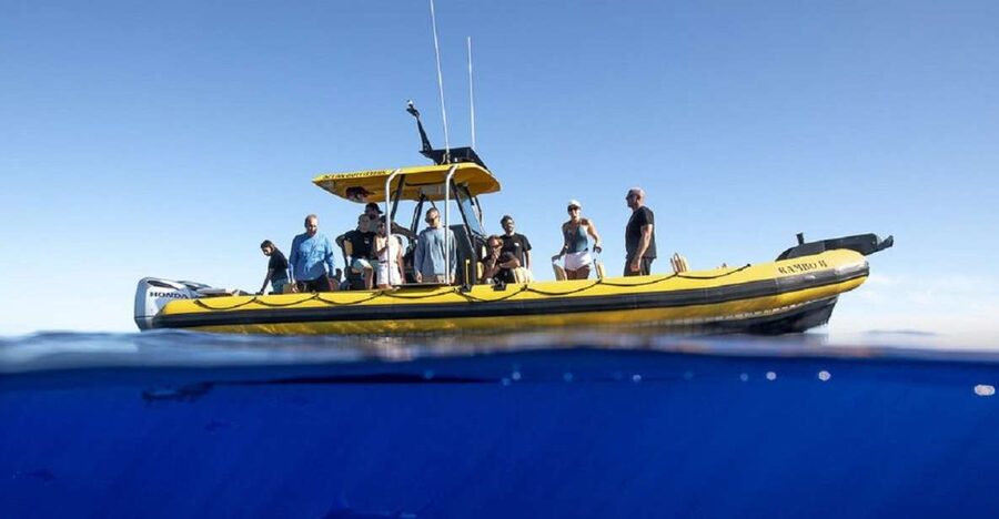 Oahu: North Shore Marine Life Tour from Haleiwa - Along the Ka’ena Coastline