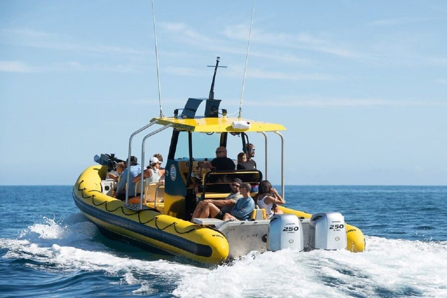 Oahu: North Shore Marine Life Tour from Haleiwa - Setting Out From Haleiwa Harbor