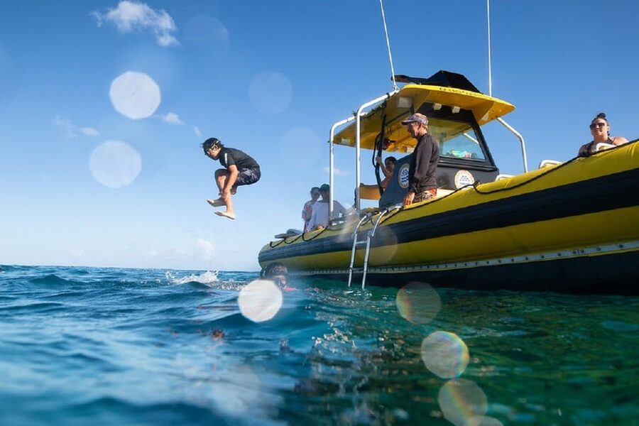 Oahu: North Shore Snorkeling Tour from Haleiwa - What you may see underwater