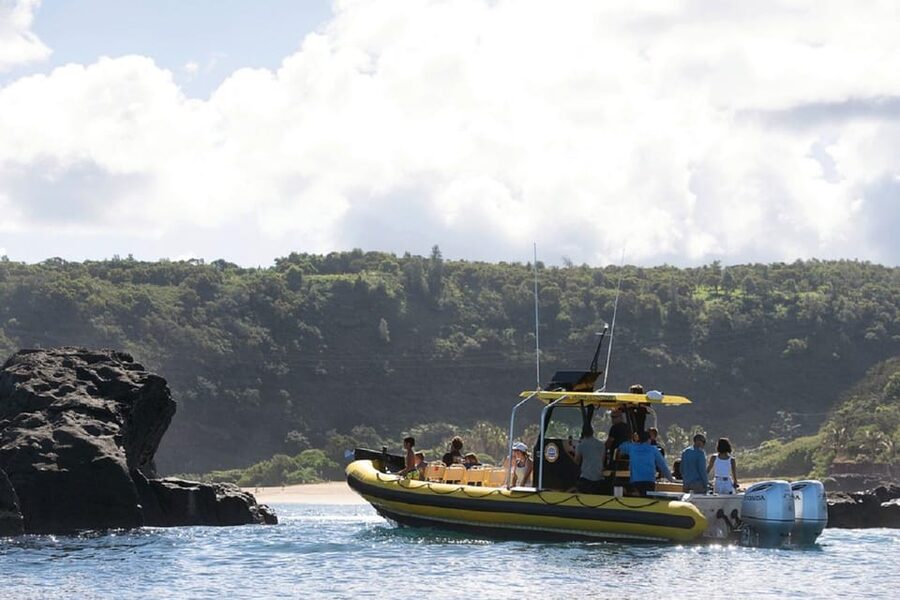 Oahu: North Shore Snorkeling Tour from Haleiwa - Should you book this North Shore snorkel?