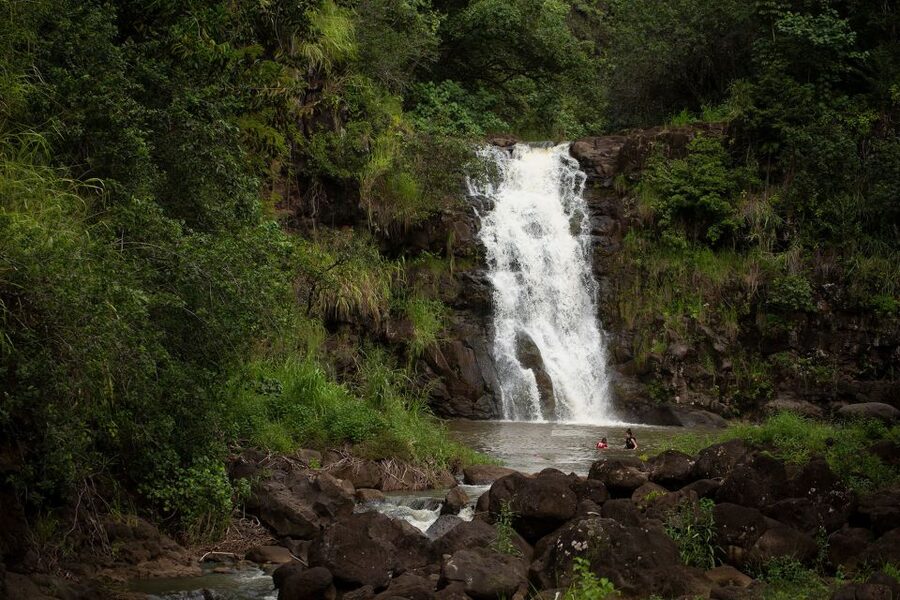 Oahu: North Shore Waterfall Swim - Key points at a glance