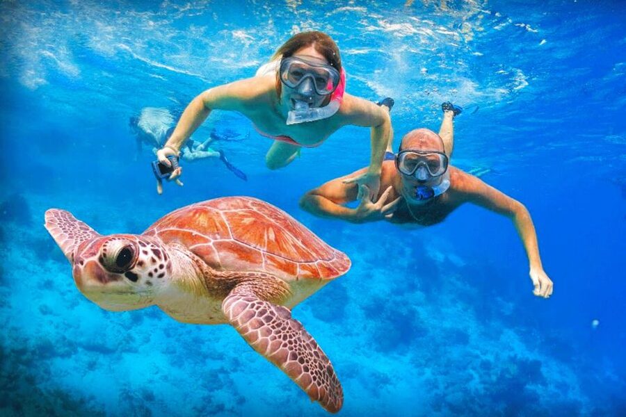 Oahu: Oahu Ultimate Grand Circle Island Tour - Kualoa Regional Park and Laie