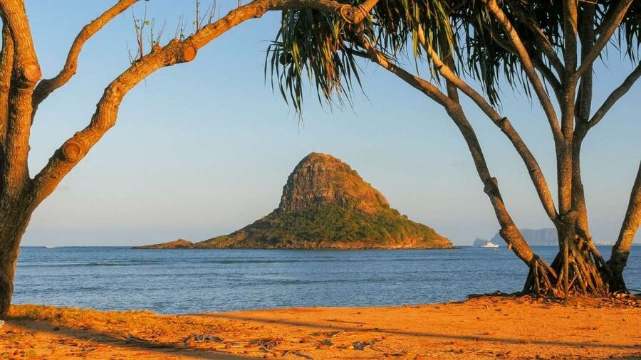Oahu: Oahu Ultimate Grand Circle Island Tour - Turtle Beach and the one-hour pause