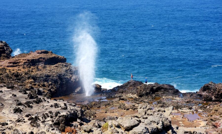 Oahu: Oahu Ultimate Grand Circle Island Tour - Diamond Head and the eastern Honolulu coast