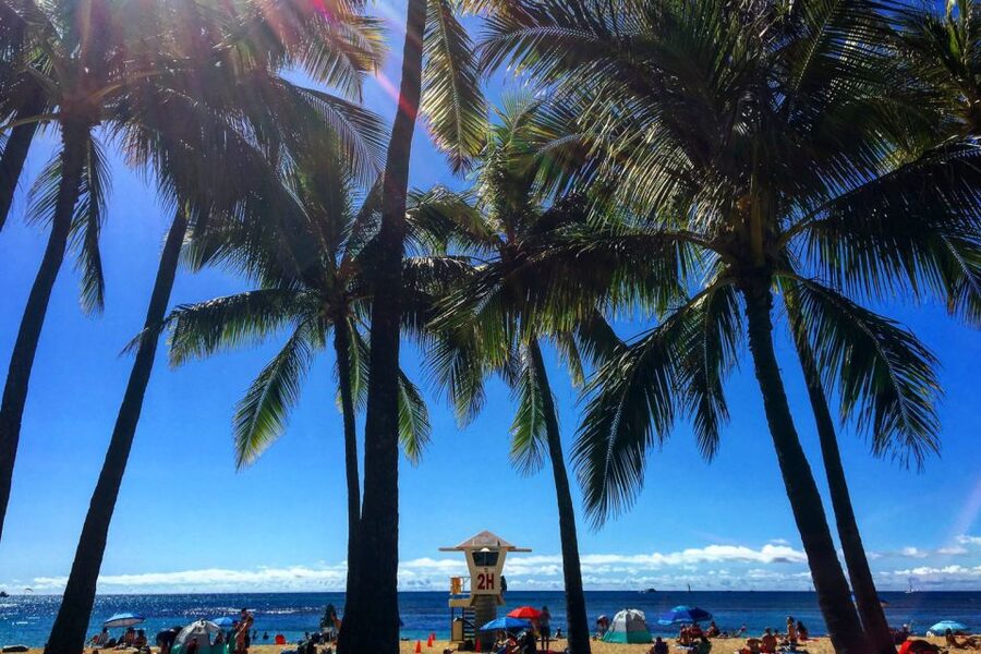 Oahu: Pearl Harbor and Honolulu City Tour - What your time at the Visitor Center feels like