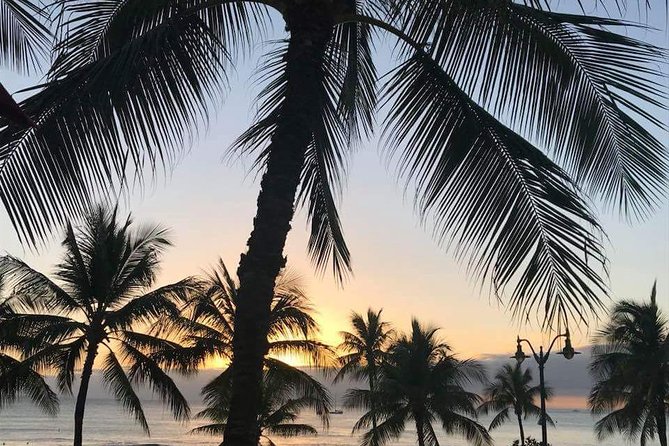Oahu Personalized Private Tour - One private day from Diamond Head to the North Shore
