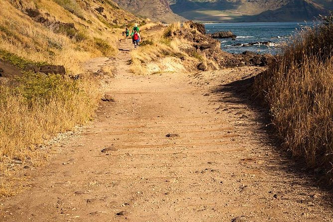 Oahu Personalized Private Tour - Who should book this Oahu tour?
