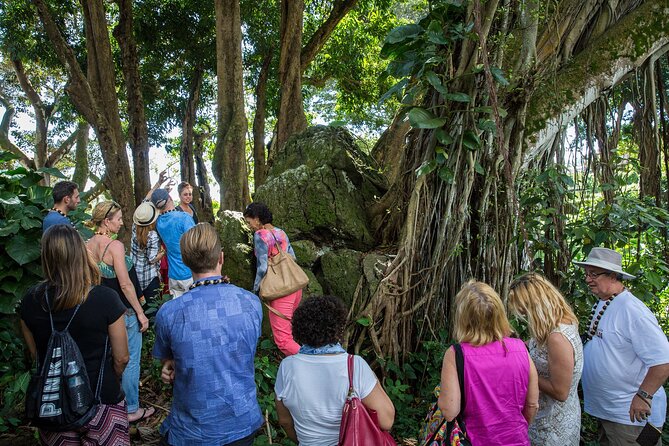 Oahu Personalized Private Tour - Two hours on the North Shore