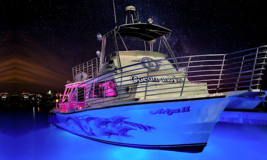 Oahu: Premium Waikiki Sunset Party Cruise with Live DJ - Diamond Head in the last light