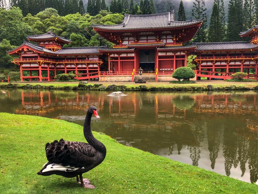 Oahu: Private Best of Oahu Sightseeing Tour - Should you book the private Best of Oahu tour?