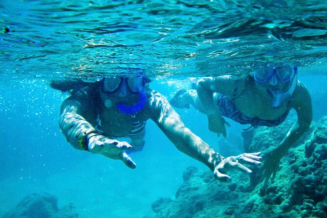 Oahu Private Tour North Shore, Waimea Falls and Dole Plantation - Sunset Beach, Waimea Bay, and surf country