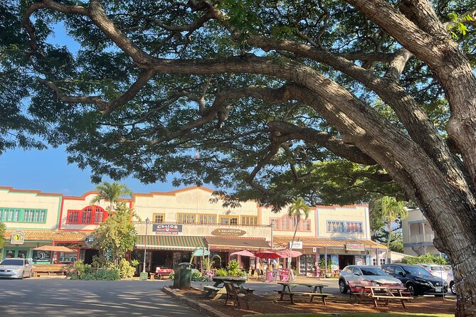 Oahu Private Tour North Shore, Waimea Falls and Dole Plantation - Haleiwa for shave ice and an easy finish