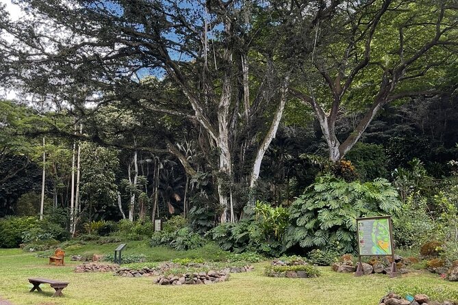 Oahu Private Tour North Shore, Waimea Falls and Dole Plantation - What the $385 price really buys