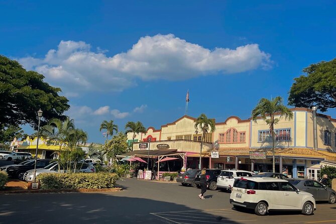 Oahu Private Tour North Shore, Waimea Falls and Dole Plantation - Laniakea Beach and the turtle etiquette