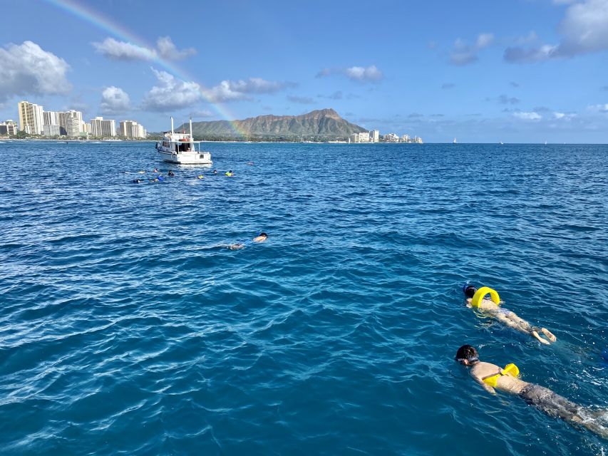 Oahu: Private Turtle Snorkeling with Customizable Itinerary - Turtle Canyon and the 45-minute snorkel