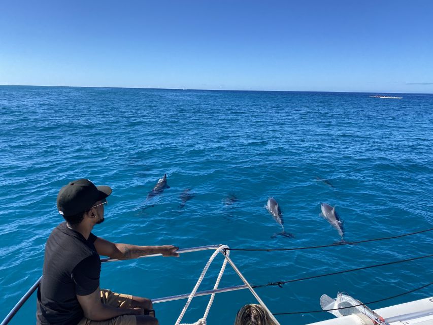 Oahu: Private Turtle Snorkeling with Customizable Itinerary - Food, music, shade, and practical comforts