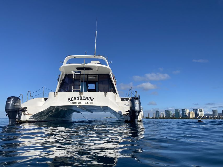 Oahu: Private Turtle Snorkeling with Customizable Itinerary - Who will enjoy this most