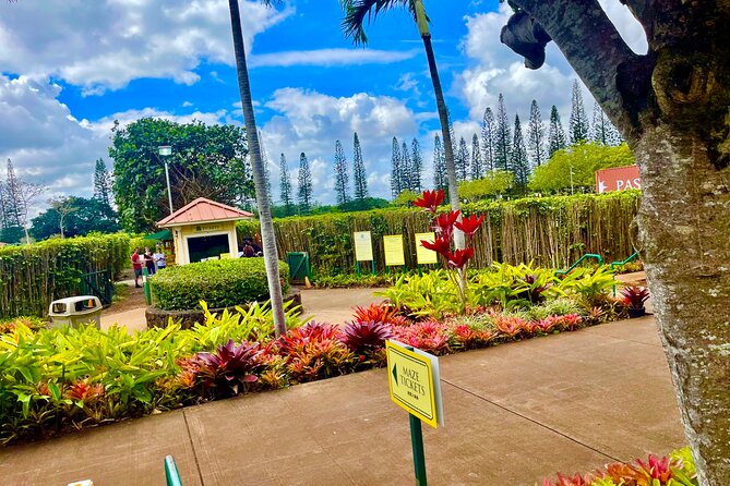 Oahu: Roundtrip Shuttle From Waikiki to Dole Plantation & Haleiwa - Key points to know before you book