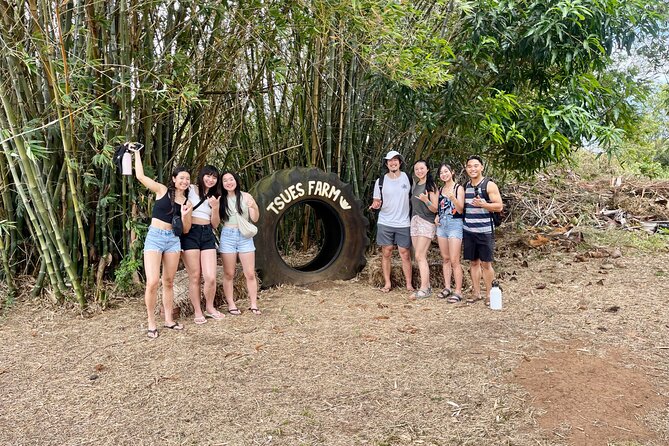 Oahu: Roundtrip Shuttle From Waikiki to Dole Plantation & Haleiwa - Macadamia nuts provide a short tasting break