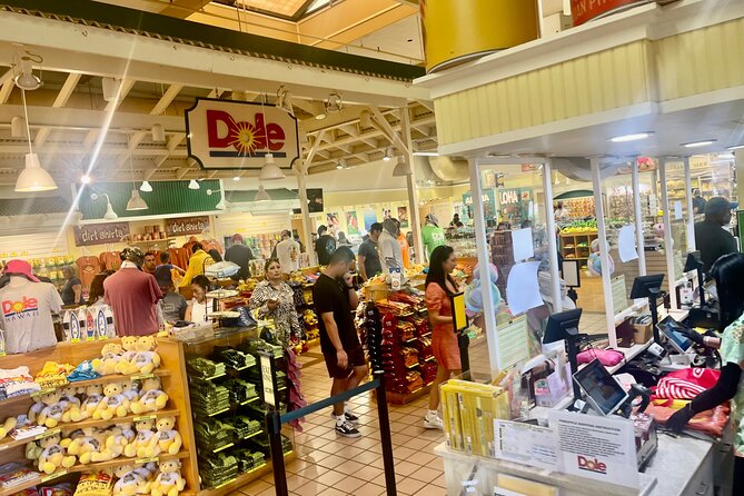 Oahu: Roundtrip Shuttle From Waikiki to Dole Plantation & Haleiwa - Who should book this Oahu day trip?