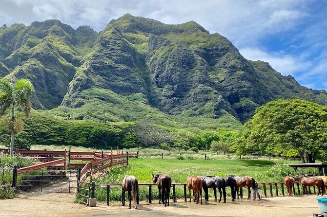 Oahu's Fun and Foodie Tour Groups of 5 or more Only! - Kualoa and the route toward the North Shore