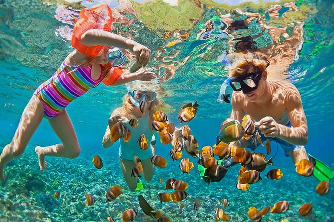 Oahu's Ultimate Tour: Dole, Turtle Snorkel, Pali Lookout & More - Diamond Head Lookout and Oahu’s southeast coast