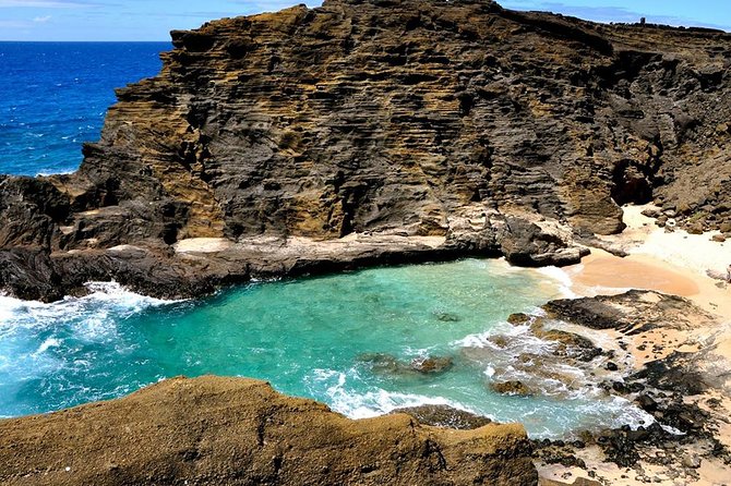 Oahu's Ultimate Tour: Dole, Turtle Snorkel, Pali Lookout & More - Tropical Farms and the North Shore road