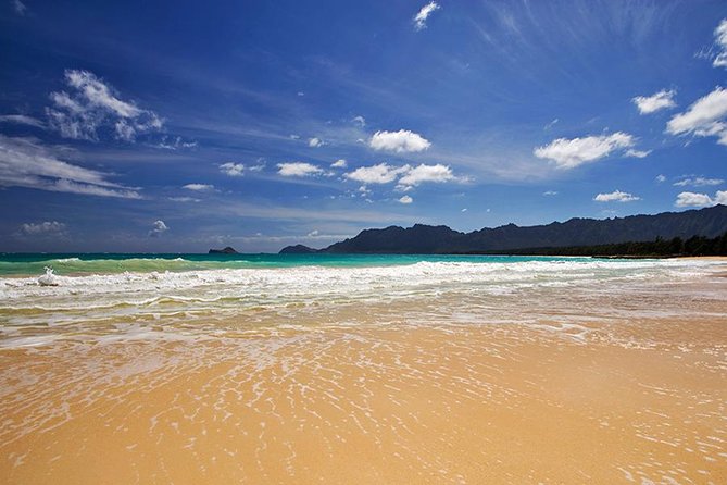 Oahu's Ultimate Tour: Dole, Turtle Snorkel, Pali Lookout & More - Turtle snorkeling at Haleiwa Beach Park