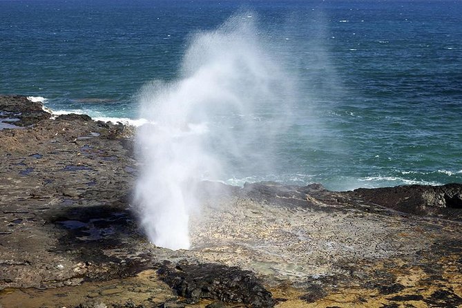Oahu's Ultimate Tour: Dole, Turtle Snorkel, Pali Lookout & More - Should you book it?