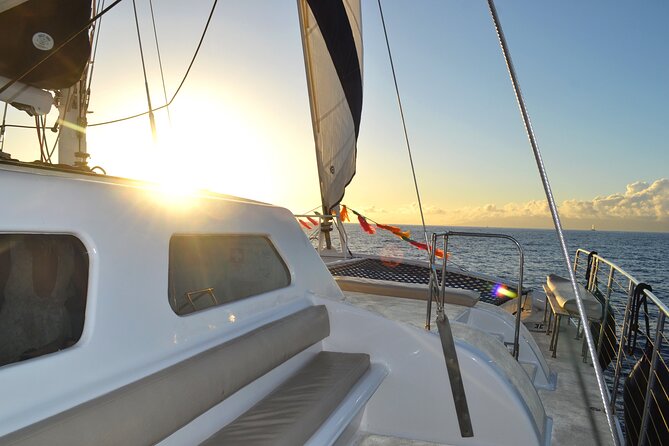 Oahu's Waikiki Coast: Moana’s Sunset Cocktail Sail - Dolphins, humpback whales, and what you might see