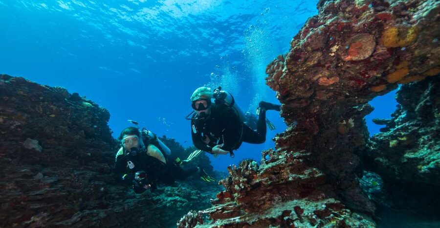 Oahu: Shallow Reef Scuba Dive for Certified Divers - The 25-minute safety briefing