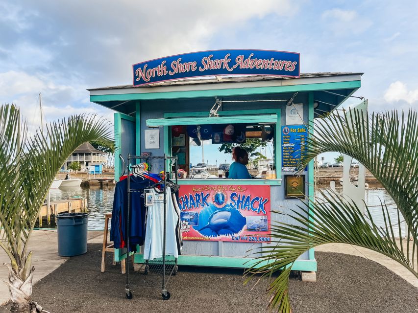Oahu: Shark Cage Dive on the North Shore - A close look at Galapagos sharks off Haleiwa