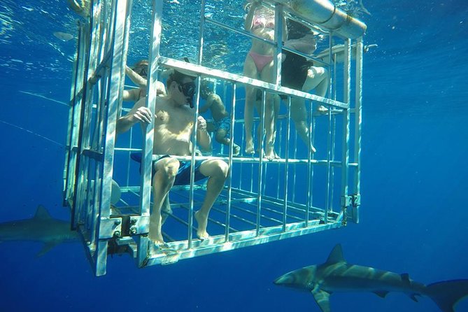 Oahu Shark Dive - The safety briefing sets the tone