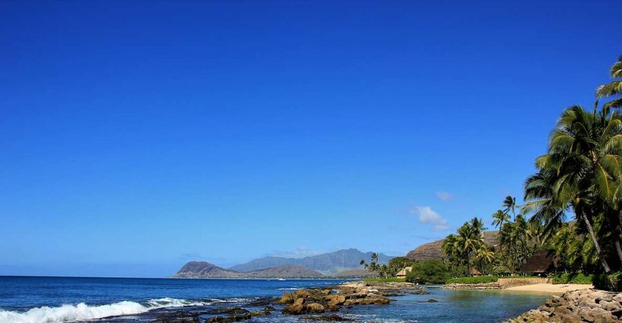 Oahu: Snorkel & Sailing Adventure along Ko Olina Coast - What you may see beneath the surface