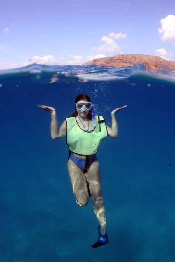 Oahu: Snorkeling & Dolphin Watch Cruise w/ Luau Style Buffet - Key points at a glance