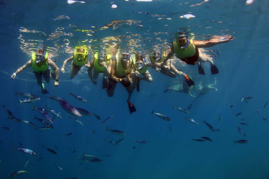 Oahu: Snorkeling & Dolphin Watch Cruise w/ Luau Style Buffet - Who should book this cruise?