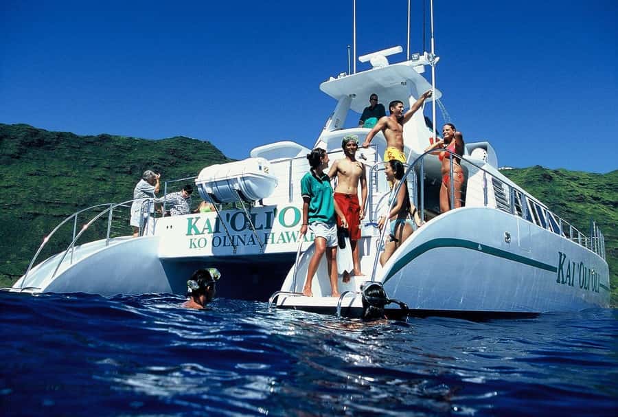 Oahu: Snorkeling & Dolphin Watch Cruise w/ Luau Style Buffet - Watching dolphins, whales, turtles, and flying fish