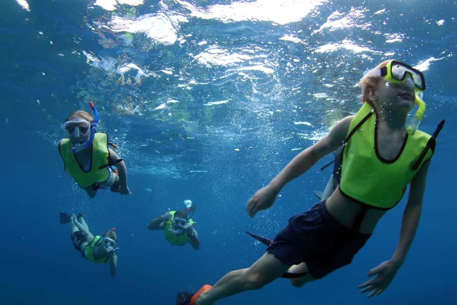 Oahu: Snorkeling & Dolphin Watch Cruise w/ Luau Style Buffet - Choosing morning, afternoon, sunset, or private