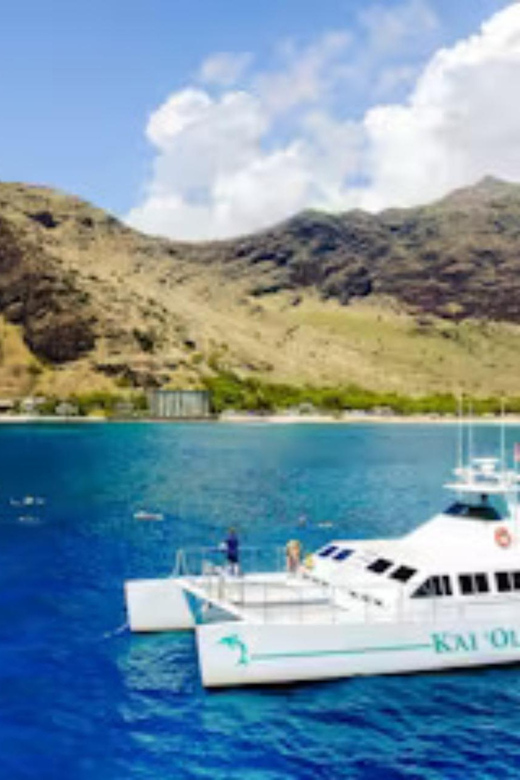 Oahu: Snorkeling & Dolphin Watch Cruise w/ Luau Style Buffet - Getting there from Waikiki