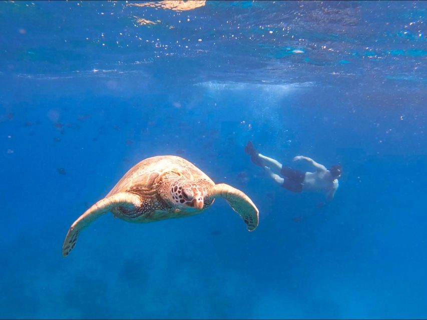 Oahu Snorkeling with Turtles, Water Scooter, Paddleboard - Musubi, noodles, and a warm finish