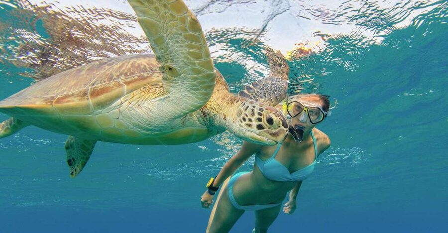 Oahu Snorkeling with Turtles, Water Scooter, Paddleboard - Photos and the limits of the included picture