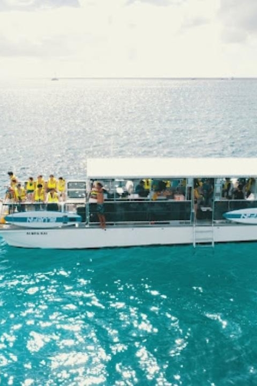 Oahu Snorkeling with Turtles, Water Scooter, Paddleboard - Who will enjoy this outing most?