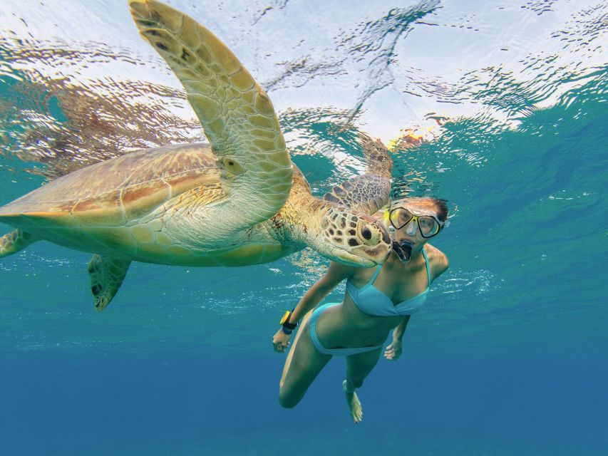 Oahu Snorkeling with Turtles, Water Scooter, Paddleboard - Should you book this Turtle Canyon tour?