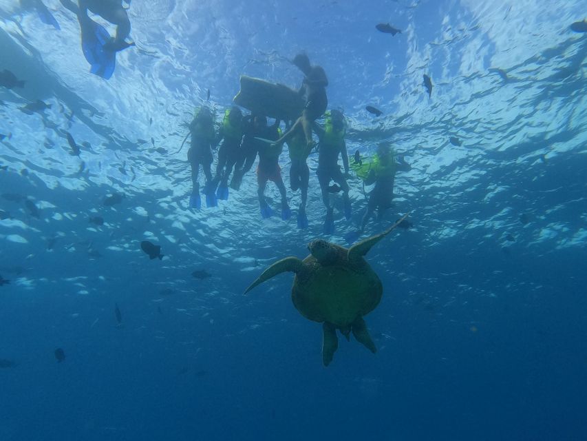Oahu Snorkeling with Turtles, Water Scooter, Paddleboard - Snorkeling with turtles and fish