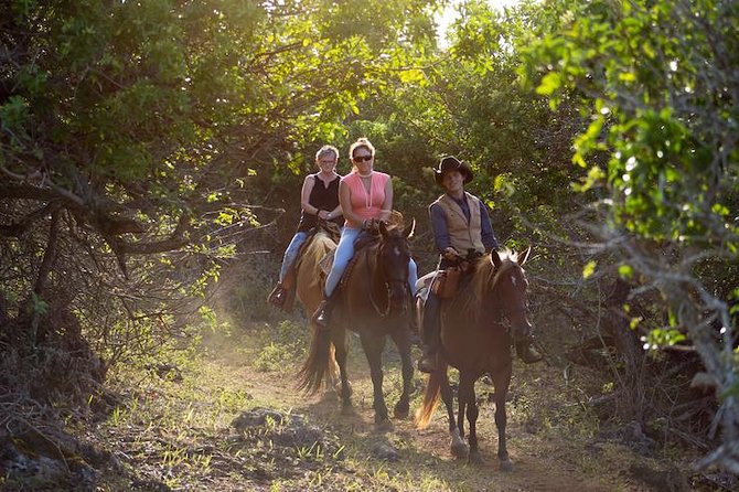 Oahu Sunset Horseback Ride - Riding into Gunstock Ranch on Oahu’s North Shore