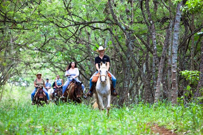 Oahu Sunset Horseback Ride - The trail: forest, slopes, and ocean glimpses