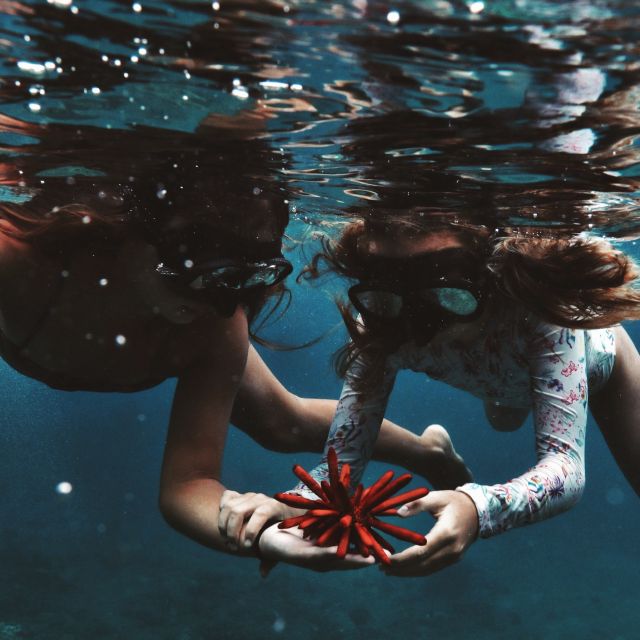 Oahu: Turtle Canyon Snorkeling Boat Tour - Key points to know before booking